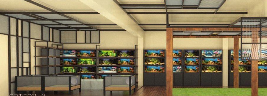Option 2 — aquarium wall